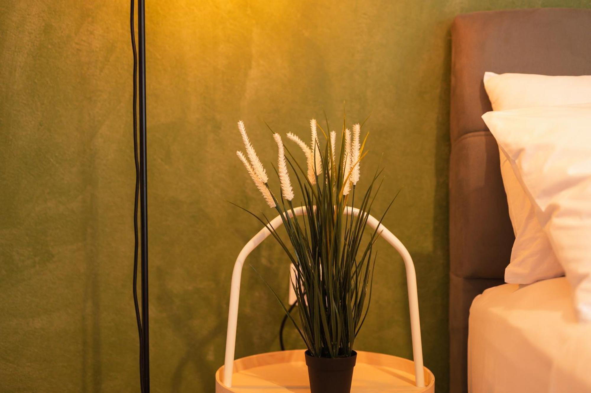 Apartment Ancient Forest By Heeaven's Hall Luxury